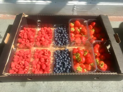 Fresh fruit selection
