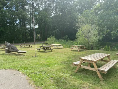 Picnic benches