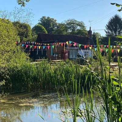 Pond near Hambledon