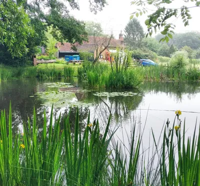 Pond in different season